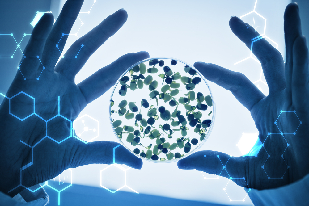 Science graphic against researcher hands holding sprouts in petri dish Science graphic against researcher hands holding sprouts in petri dish